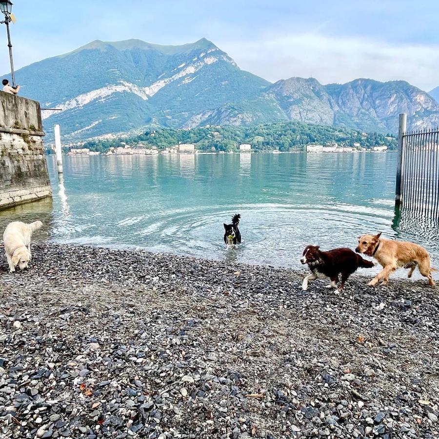 Appartamenti Casa Lory Bellagio Zewnętrze zdjęcie